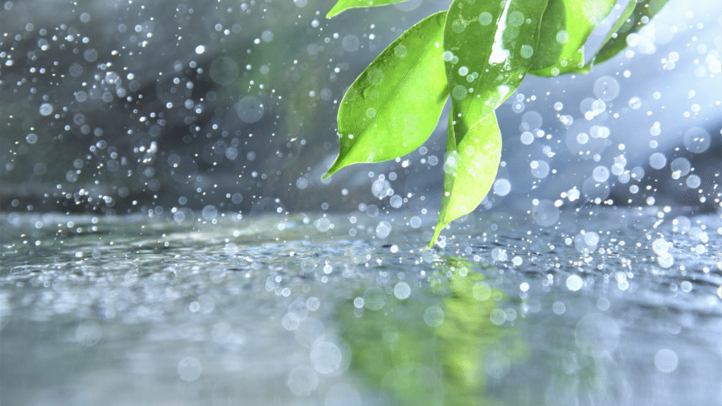 雨が地面に降っている